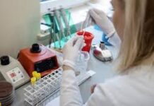COVID-19 – Estudo aponta para taxa de imunidade de 2,6% na Região DR