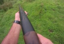 Caça fica interdita na ilha de São Miguel a partir de sábado