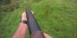 Caça fica interdita na ilha de São Miguel a partir de sábado