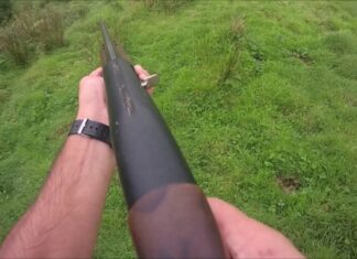 Caça fica interdita na ilha de São Miguel a partir de sábado