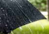 Proteção Civil – Previsão de chuva forte nas Flores e Corvo