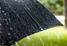 Proteção Civil – Previsão de chuva forte nas Flores e Corvo
