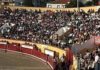 PAN/Açores exige a demissão do Diretor Regional da Saúde ao beneficiar a tauromaquia em detrimento da saúde da população