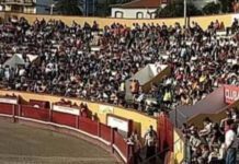 PAN/Açores exige a demissão do Diretor Regional da Saúde ao beneficiar a tauromaquia em detrimento da saúde da população