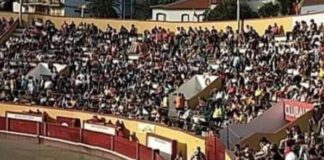 PAN/Açores exige a demissão do Diretor Regional da Saúde ao beneficiar a tauromaquia em detrimento da saúde da população