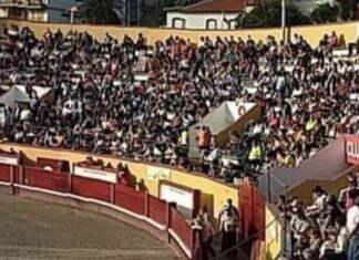 PAN/Açores exige a demissão do Diretor Regional da Saúde ao beneficiar a tauromaquia em detrimento da saúde da população