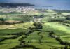 Governo dos Açores vai continuar a investir no mercado agrícola da Terceira para torná-lo ainda mais atrativo, afirma João Ponte DR