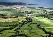Governo dos Açores vai continuar a investir no mercado agrícola da Terceira para torná-lo ainda mais atrativo, afirma João Ponte DR