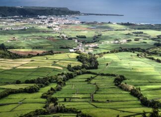 Governo dos Açores vai continuar a investir no mercado agrícola da Terceira para torná-lo ainda mais atrativo, afirma João Ponte DR
