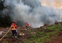 Proteção Civil – Governo promove formação em extinção de incêndios rurais DR