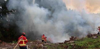 Proteção Civil – Governo promove formação em extinção de incêndios rurais DR