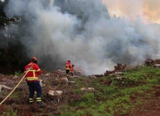 Proteção Civil – Governo promove formação em extinção de incêndios rurais DR