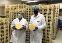 Inovar e acrescentar mais valor às produções são prioridades para o futuro do setor agrícola nos Açores, afirma João Ponte DR/GACS