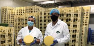 Inovar e acrescentar mais valor às produções são prioridades para o futuro do setor agrícola nos Açores, afirma João Ponte DR/GACS
