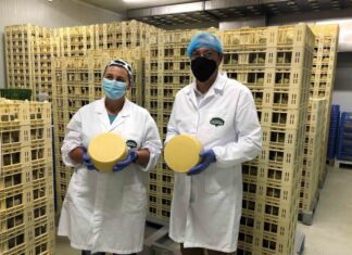 Inovar e acrescentar mais valor às produções são prioridades para o futuro do setor agrícola nos Açores, afirma João Ponte DR/GACS