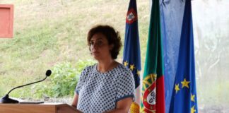 Governo dos Açores cria bolsa de 2.500 horas mensais para apoio ao Cuidador Informal, anuncia Andreia Cardoso