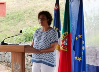 Governo dos Açores cria bolsa de 2.500 horas mensais para apoio ao Cuidador Informal, anuncia Andreia Cardoso