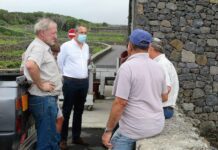 Governo dos Açores destaca importância das medidas de apoio ao setor do vinho para responder aos desafios da pandemia DR/GACS