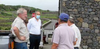 Governo dos Açores destaca importância das medidas de apoio ao setor do vinho para responder aos desafios da pandemia DR/GACS