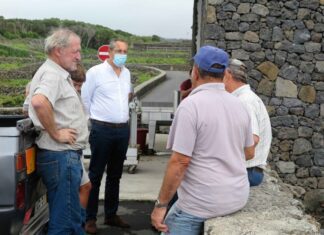 Governo dos Açores destaca importância das medidas de apoio ao setor do vinho para responder aos desafios da pandemia DR/GACS