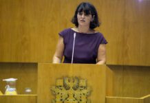 Número total de passageiros desembarcados nos Açores aumentou 29% entre 2016 e 2019, afirma Ana Cunha DR/GACS