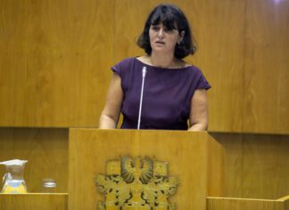 Número total de passageiros desembarcados nos Açores aumentou 29% entre 2016 e 2019, afirma Ana Cunha DR/GACS