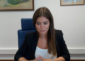 Açorianos dispõem de diversos incentivos para reduzir a fatura energética das suas habitações, afirma Diretora Regional