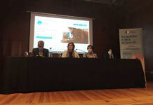 Site de Apoio ao Cuidador Informal visa facilitar acesso à informação e divulgar Gabinetes de Apoio, anuncia Andreia Cardoso