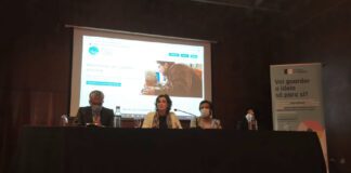 Site de Apoio ao Cuidador Informal visa facilitar acesso à informação e divulgar Gabinetes de Apoio, anuncia Andreia Cardoso