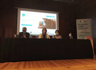Site de Apoio ao Cuidador Informal visa facilitar acesso à informação e divulgar Gabinetes de Apoio, anuncia Andreia Cardoso
