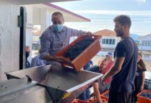 Setor da vitivinicultura assume-se cada vez mais como o motor da economia da ilha do Pico, afirma João Ponte DR/GACS
