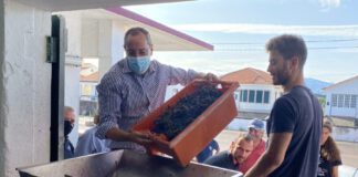 Setor da vitivinicultura assume-se cada vez mais como o motor da economia da ilha do Pico, afirma João Ponte DR/GACS