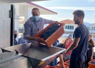 Setor da vitivinicultura assume-se cada vez mais como o motor da economia da ilha do Pico, afirma João Ponte DR/GACS