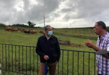 Açores avançam para a certificação do bem-estar animal, anuncia João Ponte DR/GACS