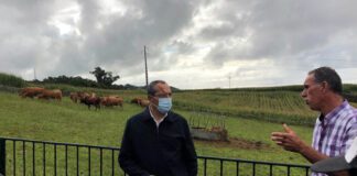 Açores avançam para a certificação do bem-estar animal, anuncia João Ponte DR/GACS