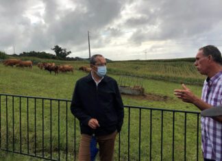 Açores avançam para a certificação do bem-estar animal, anuncia João Ponte DR/GACS