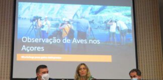 Governo dos Açores realiza dois novos cursos de Guias de Parque Natural para profissionais de informação turística