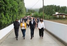Investimento de 13 milhões de euros em infraestruturas agrícolas melhora condições de trabalho dos agricultores micaelenses DR/GACS