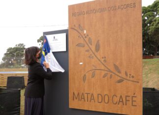 Governo dos Açores devolve à Mata do Café “a dignidade que o espaço merece”, afirma Ana Cunha DR/GACS