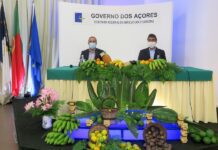Plano Regional de Desenvolvimento da Fruticultura representa um compromisso político forte na diversificação agrícola nos Açores