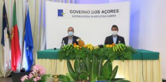 Plano Regional de Desenvolvimento da Fruticultura representa um compromisso político forte na diversificação agrícola nos Açores