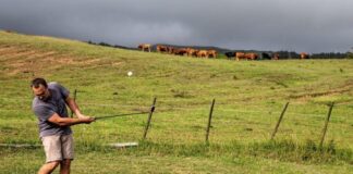 2.º ENCONTRO DE GOLFE DO FAIAL – Atletas do Faial, Pico, São Jorge, Terceira e São Miguel juntam-se este fim de semana DR