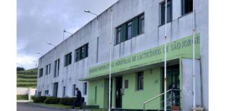 Autarquia das Velas apoia Uniqueijo