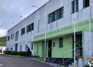 Autarquia das Velas apoia Uniqueijo