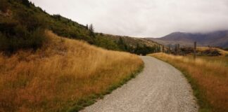 Investimento de 655 mil euros na beneficiação de quatro caminhos cria melhores condições de trabalho aos agricultores de Santa Maria e São Miguel DR