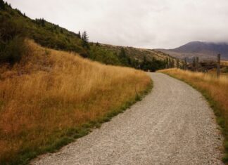 Investimento de 655 mil euros na beneficiação de quatro caminhos cria melhores condições de trabalho aos agricultores de Santa Maria e São Miguel DR