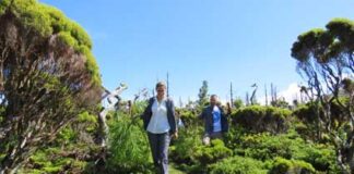 Marta Guerreiro salienta voluntariado ambiental como mais-valia na conservação da natureza