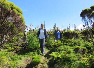 Marta Guerreiro salienta voluntariado ambiental como mais-valia na conservação da natureza