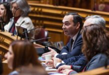 POSEI – António Ventura questiona governos sobre ações em prol dos produtores açorianos DR/PSD