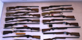 Operação de Fiscalização em Matéria de Armas na Ilha de São Jorge DR/PSP